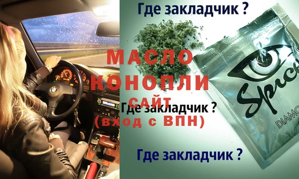 индика Волоколамск