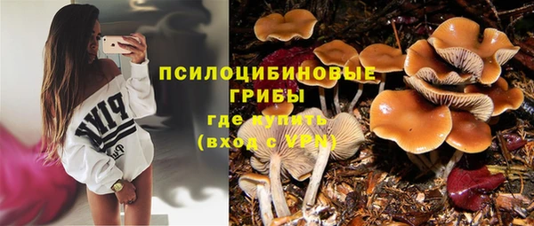 стафф Богданович