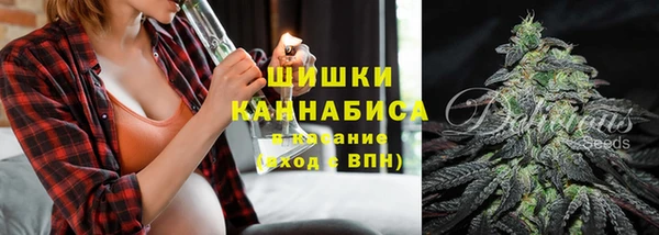 ECSTASY Богородицк