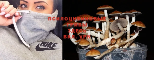 стафф Богданович