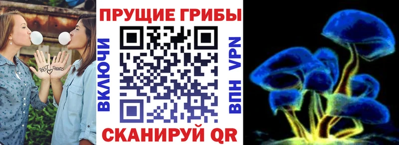 это телеграм  Вилючинск  Псилоцибиновые грибы Magic Shrooms  где продают наркотики 